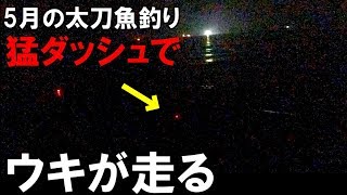 ウキが猛ダッシュ！5月の和歌山タチウオ釣り。個人的に必ずボウズの釣り場と釣れる釣り場。