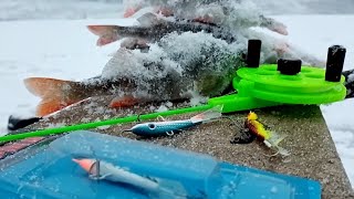 Окунь на БАЛАНСИР | Зимняя рыбалка| Ловля на балансир Лаки-Джон