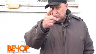 Почему нужно убирать за своей собакой?