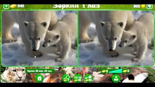 Зоркий глаз 961, 962, 963, 964, 965, 966, 967, 968, 969, 970 уровень Одноклассники