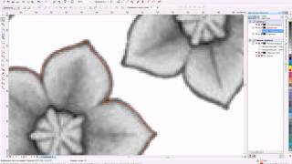 Ручная трассировка в CorelDraw