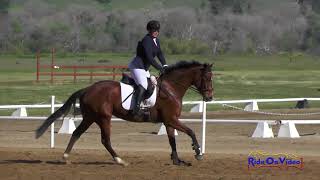 476S Michelle Ewing on Jim's Lillydale SR Beginner Novice Show Jumping Twin Rivers Ranch April 2018