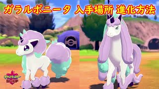 【ガラルポニータ → ギャロップ】入手場所 進化方法 攻略【ポケモン ソード シールド】