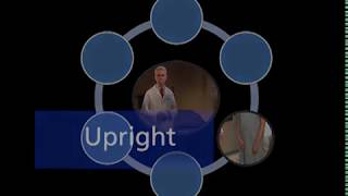 Urology Male Genitalia Examination