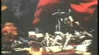 Cirque Calder 2/2