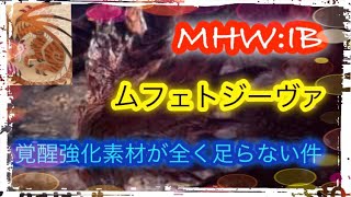 [MHW:IB/アイスボーン/PS4]セリエナ祭り6夜 [参加型] 床ペロおじさんがムフェトジーヴァ、導き、バウンティーやる　初見さん大歓迎　コメしてから入室してね