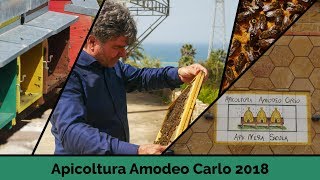 Apicoltura Amodeo Carlo 2018 - deel 1 - Sicilië, Italië [NL+ENG met informatie]