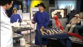 Autopsy Life And Death S01E01 - Circulation