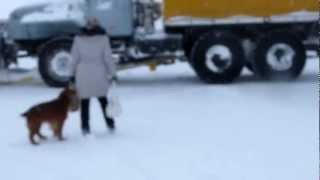 Усть-Камчатск январь 2013