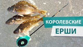 Королевские ЕРШИ