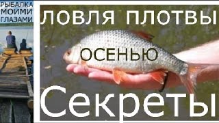 Ловля плотвы поздней осенью на фидер,СЕКРЕТЫ ЛОВЛИ