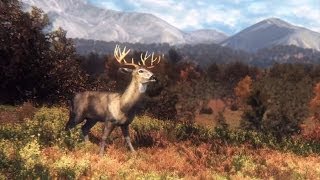 Big Game Hunter 2014 - Охота с луком #3