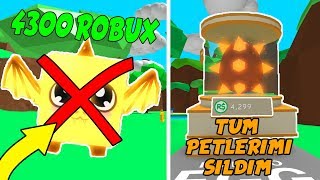 4300$ ROBUXLUK PETİMİ SİLDİM ! / Roblox Bubble Gum Sim / Roblox Türkçe / FarukTPC