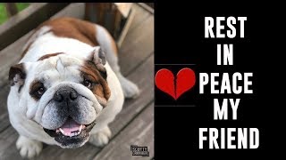 THE SADDEST VIDEO EVER ON MY CHANNEL