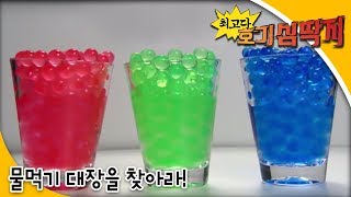 Why - 최고다! 호기심딱지 - 물먹기 대장을 찾아라!