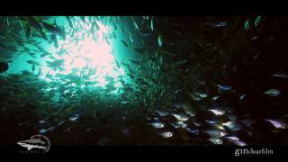 Fish Rock Cave - South West Rocks