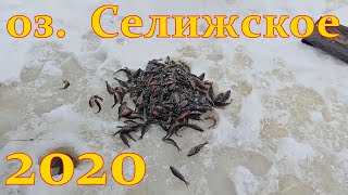 Рыбалка в Ленинградской области оз. Селижское 2020г.