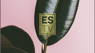 Lider celebró su 30º aniversario. ESTV Sáb. 21/12/2019 (536)