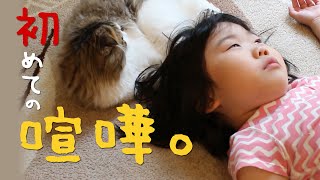 猫と子供の初めての喧嘩物語