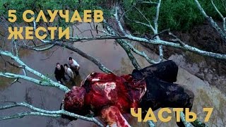 5 НОВЫХ СЛУЧАЕВ ЖЕСТИ НА ЗАБРОШКАХ , СНЯТЫХ НА КАМЕРУ / ЖЕСТЬ НА ЗАБРОШКЕ