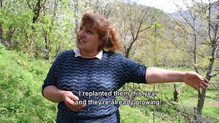 How Armenian Villagers Are Using Trees To Support Their Families