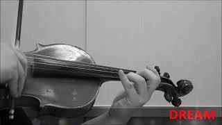 O Mio Babbino Caro violin ver.-Puccini