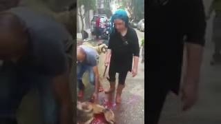 Kurban kesen kadın. Sheep slaughter woman. Sacrifice. victim 2