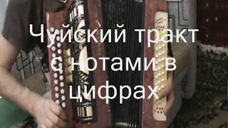 Чуйский тракт с нотами в цифрах