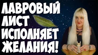 ⚡ ЛАВРОВЫЙ ЛИСТ ? РИТУАЛЫ С ЛАВРОВЫМ ЛИСТОМ ? ЗАГОВОР НА ИСПОЛНЕНИЕ ЖЕЛАНИЯ ⚡ Алена Головина