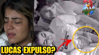 A Fazenda 11: Lucas será expulso hoje?, entenda!
