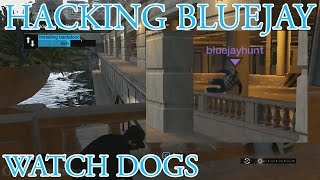 Hacking Bluejay | Watch Dogs