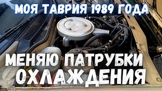 Таврия ЗАЗ 1102 замена патрубков СО и заливаю тосол перед зимой