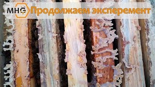 Продолжаем эксперимент по охлаждению гнезда.