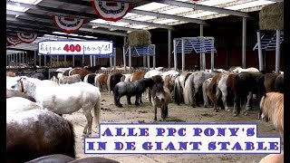 Alle pony's van Ponyparkcity in de Giant Stable ♥ bijna 400 pony's in beeld - namen in de tekst !!