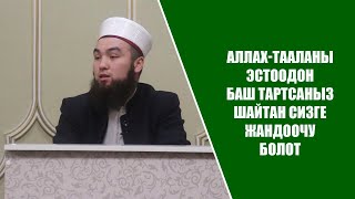 Кимде ким Аллах-Тааланы эстебей жашай турган болсо анын жандоочусу Шайтан болот.