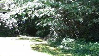 Drexel Rd Foreclosure Home Overbrook Philadelphia PA