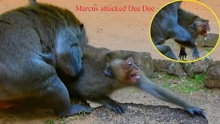 Terrify ! Conflict of Dee Dee and Karri | Marcus help Karri attack on Dee Dee | Dee Dee so angry /MP