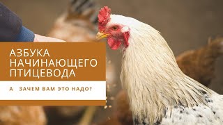 АЗБУКА начинающего птицевода. А зачем вам это надо?