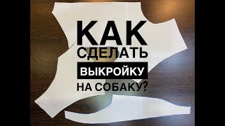Как сделать выкройку на собаку?