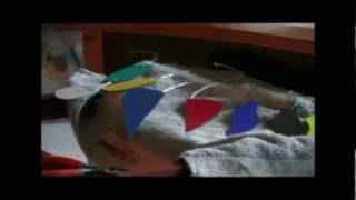 how to make a hanging mobile with mark leary (www.marklearydesigns.com)
