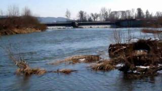 Pilzno (woj podkarpackie) , rzeka Wisłoka, okolice zapory. 1.03.2009 [HD]