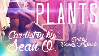 Plants // Cardistry by Sean O. - FEAT. DANIEL HYBRIDS (Editing)