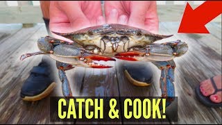 Catch, Cook, Eat! BLUE CRABS!! How To Catch & Eat Crabs!