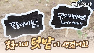 토끼 키우기 (*ꆤ.̫ꆤ*) 토끼똥으로 농사를?! 꽃돌이네 텃밭이 생겼어요!