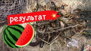 Ловлю раков на арбуз. Ловля раков на раколовки