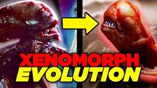 Alien Covenant ENDING EXPLAINED - Xenomorph Evolution?