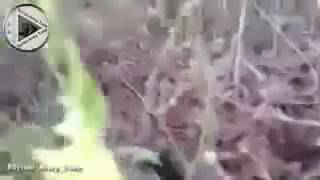 Сирия бои Гибель боевика перед камерой новости из Сирии сегодня