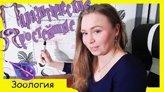 Паразитические простейшие. Урок биологии №62.
