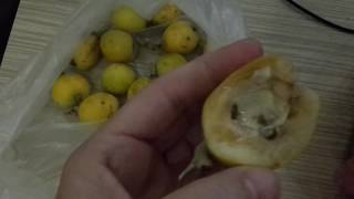 ТУРЦИЯ. КЛУБНИКА ЗА 1$ КИЛОГРАММ.ЗАГАДОЧНАЯ МУШМУЛА ПО 2$. АЛАНИЯ, РЫНОК ВОЗЛЕ ОТЕЛЯ КАТЯ БИЧ.Тутси.