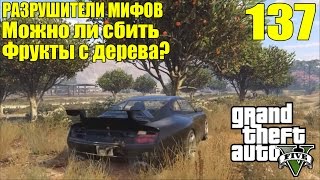 GTA 5 - Разрушители Мифов [Можно ли сбить ФРУКТЫ с дерева?] ЧАСТЬ #137